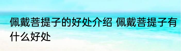 佩戴菩提子的好处介绍 佩戴菩提子有什么好处