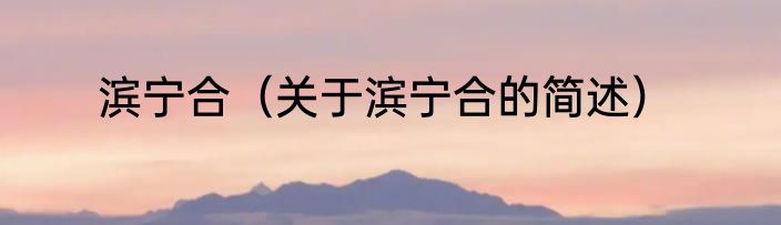 滨宁合（关于滨宁合的简述）
