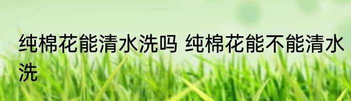 纯棉花能清水洗吗 纯棉花能不能清水洗