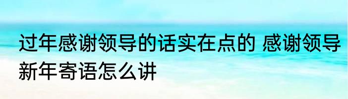 过年感谢领导的话实在点的 感谢领导新年寄语怎么讲
