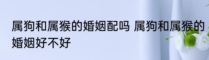 属狗和属猴的婚姻配吗 属狗和属猴的婚姻好不好