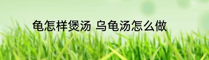龟怎样煲汤 乌龟汤怎么做