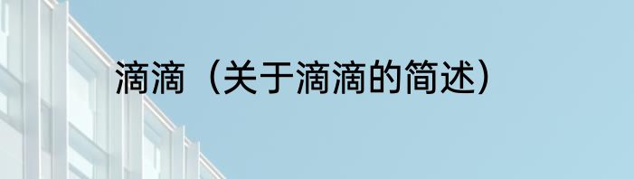 滴滴（关于滴滴的简述）