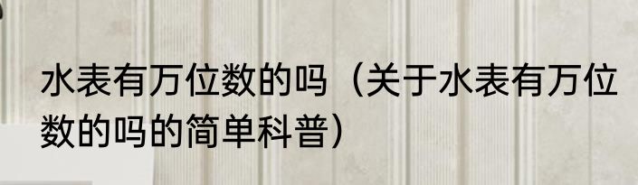 水表有万位数的吗（关于水表有万位数的吗的简单科普）