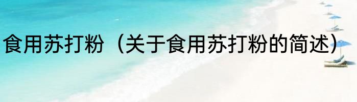 食用苏打粉（关于食用苏打粉的简述）