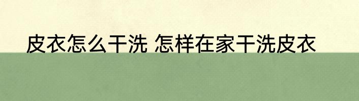皮衣怎么干洗 怎样在家干洗皮衣
