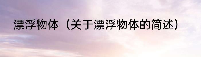 漂浮物体（关于漂浮物体的简述）