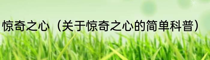 惊奇之心（关于惊奇之心的简单科普）
