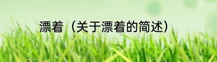 漂着（关于漂着的简述）