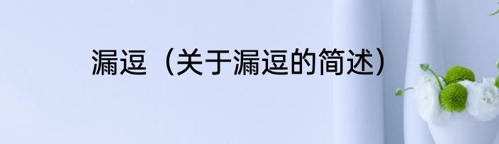 漏逗（关于漏逗的简述）
