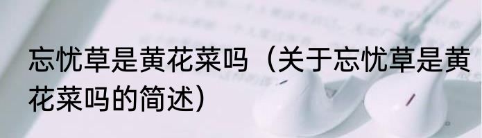 忘忧草是黄花菜吗（关于忘忧草是黄花菜吗的简述）