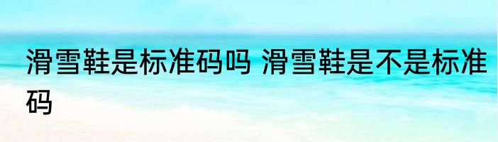 滑雪鞋是标准码吗 滑雪鞋是不是标准码