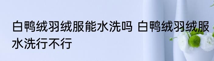 白鸭绒羽绒服能水洗吗 白鸭绒羽绒服水洗行不行