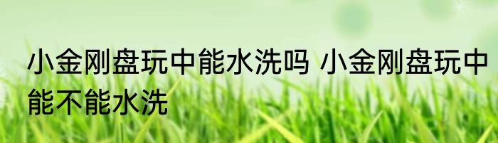 小金刚盘玩中能水洗吗 小金刚盘玩中能不能水洗