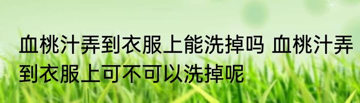 血桃汁弄到衣服上能洗掉吗 血桃汁弄到衣服上可不可以洗掉呢