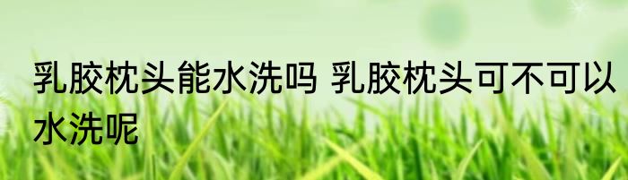 乳胶枕头能水洗吗 乳胶枕头可不可以水洗呢