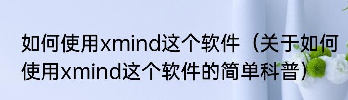 如何使用xmind这个软件（关于如何使用xmind这个软件的简单科普）