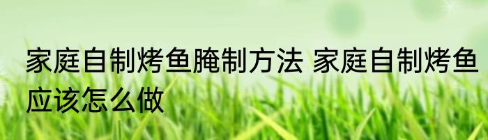 家庭自制烤鱼腌制方法 家庭自制烤鱼应该怎么做