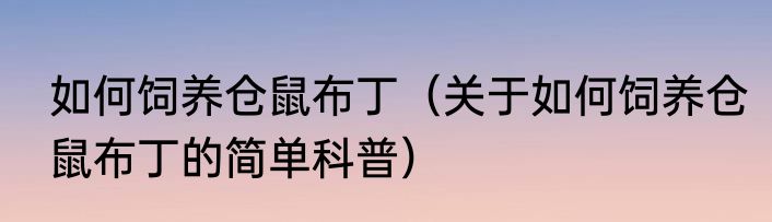 如何饲养仓鼠布丁（关于如何饲养仓鼠布丁的简单科普）
