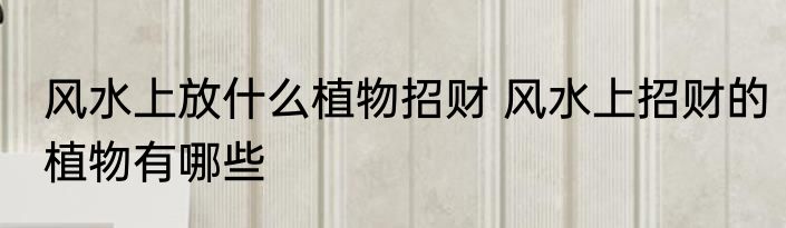 风水上放什么植物招财 风水上招财的植物有哪些