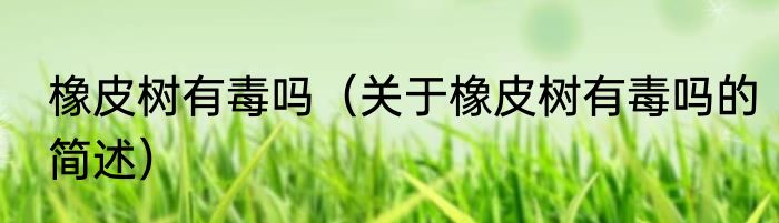 橡皮树有毒吗（关于橡皮树有毒吗的简述）