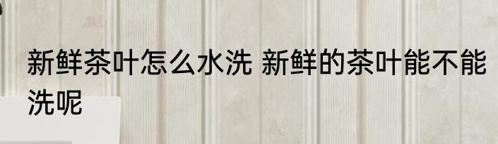 新鲜茶叶怎么水洗 新鲜的茶叶能不能洗呢
