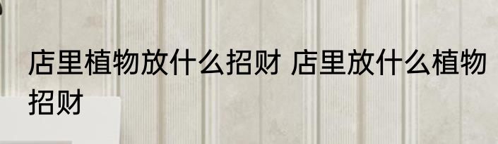 店里植物放什么招财 店里放什么植物招财