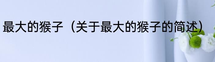 最大的猴子（关于最大的猴子的简述）