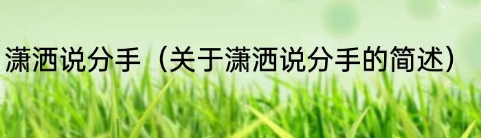 潇洒说分手（关于潇洒说分手的简述）