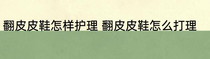 翻皮皮鞋怎样护理 翻皮皮鞋怎么打理