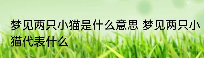 梦见两只小猫是什么意思 梦见两只小猫代表什么
