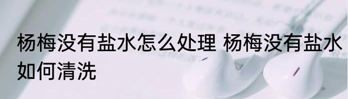杨梅没有盐水怎么处理 杨梅没有盐水如何清洗