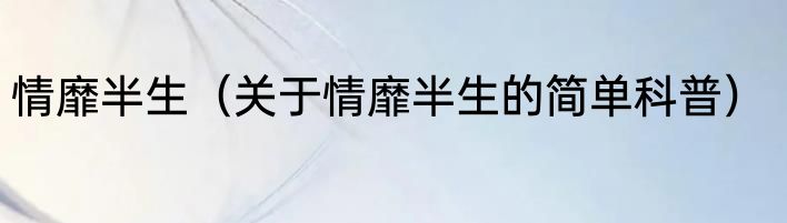 情靡半生（关于情靡半生的简单科普）