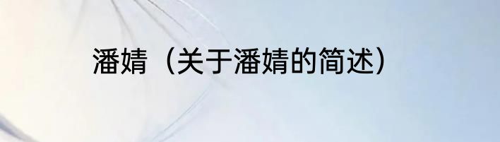 潘婧（关于潘婧的简述）