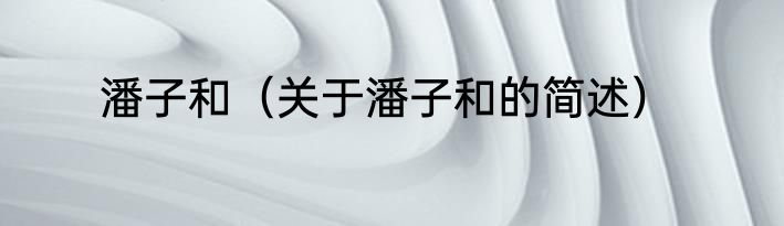 潘子和（关于潘子和的简述）