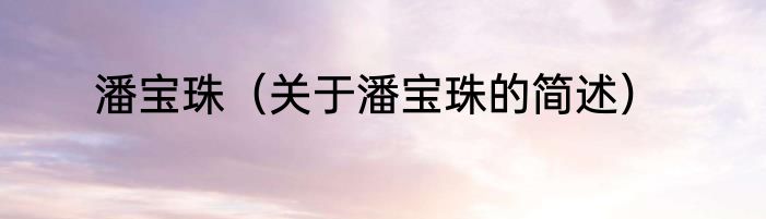潘宝珠（关于潘宝珠的简述）