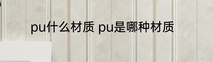 pu什么材质 pu是哪种材质