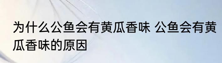 为什么公鱼会有黄瓜香味 公鱼会有黄瓜香味的原因