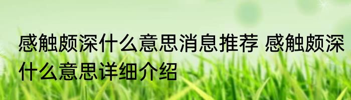 感触颇深什么意思消息推荐 感触颇深什么意思详细介绍