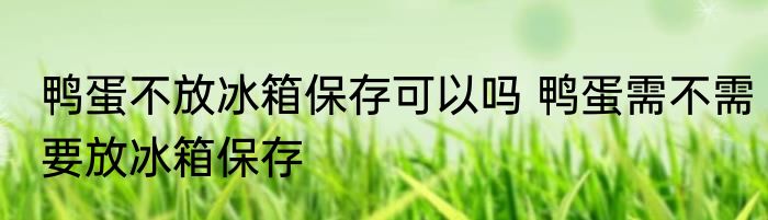 鸭蛋不放冰箱保存可以吗 鸭蛋需不需要放冰箱保存