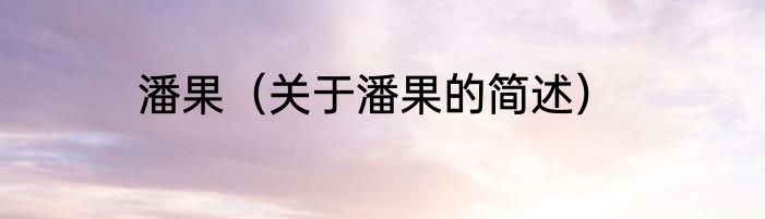 潘果（关于潘果的简述）