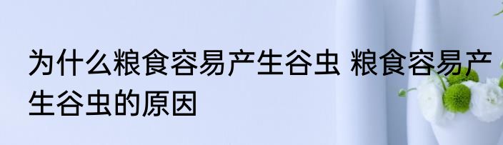 为什么粮食容易产生谷虫 粮食容易产生谷虫的原因