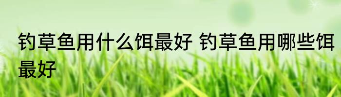 钓草鱼用什么饵最好 钓草鱼用哪些饵最好