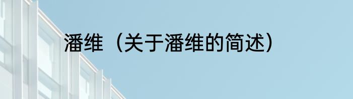 潘维（关于潘维的简述）
