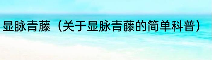 显脉青藤（关于显脉青藤的简单科普）
