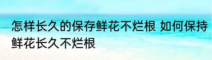 怎样长久的保存鲜花不烂根 如何保持鲜花长久不烂根