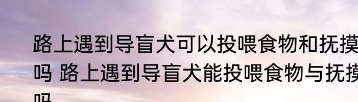 路上遇到导盲犬可以投喂食物和抚摸吗 路上遇到导盲犬能投喂食物与抚摸吗