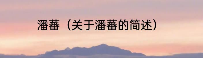 潘蕃（关于潘蕃的简述）