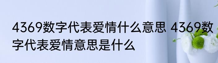 4369数字代表爱情什么意思 4369数字代表爱情意思是什么