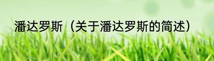 潘达罗斯（关于潘达罗斯的简述）